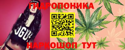 стафф Ликино-Дулёво