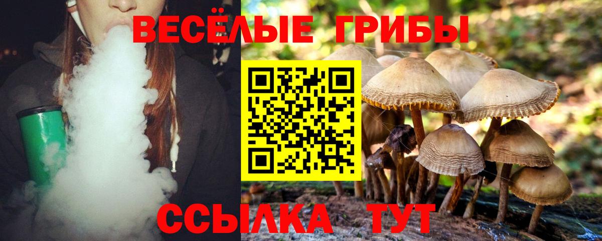 Псилоцибиновые грибы ЛСД  Вход с VPN  купить  цена  Уссурийск 