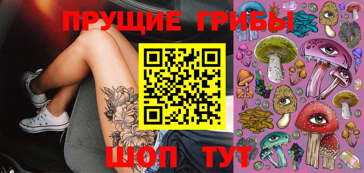 Галлюциногенные грибы Psilocybine cubensis Уссурийск